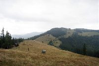 Carpatia Loop 