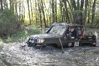 zdjęcie nr 12