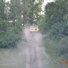 zdjęcie nr 34