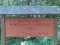 Fotka nr 1 z 9