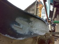 zdjęcie nr 54