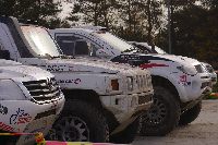 Fotka nr 2 z 25