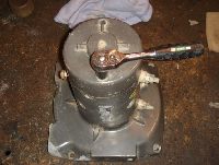 Fotka nr 3 z 21