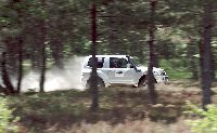 Fotka nr 1 z 12