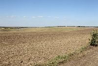 zdjęcie nr 27