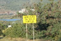 zdjęcie nr 40