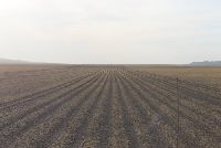 Wiele pasów drogi na mongolskim stepie