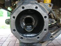 Fotka nr 5 z 15