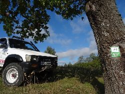 Fotka nr 2 z 14
