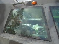 Fotka nr 2 z 8