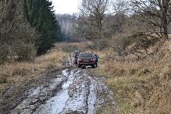 TransPolonia Zachód 2015, fot. Dmian Soboń