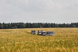 zdjęcie nr 31