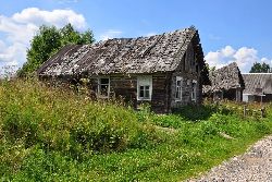 zdjęcie nr 37