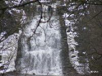 Fotka nr 4 z 6