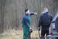 zdjęcie nr 33