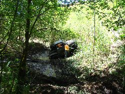 Fotka nr 2 z 5