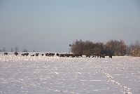 zdjęcie nr 9
