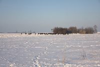 zdjęcie nr 13
