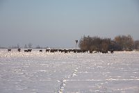 zdjęcie nr 14