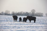 zdjęcie nr 32