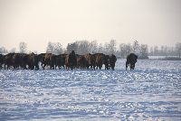 zdjęcie nr 34