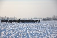 zdjęcie nr 44