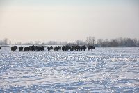zdjęcie nr 45