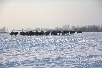 zdjęcie nr 47