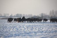 zdjęcie nr 48