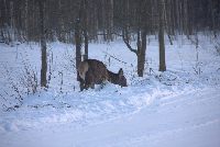zdjęcie nr 69