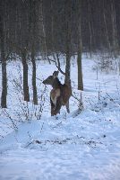zdjęcie nr 72