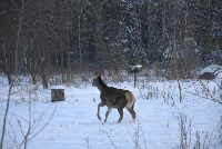 zdjęcie nr 73