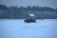 zdjęcie nr 85