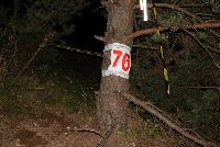 zdjęcie nr 38