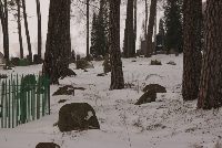 Mizar - cmentarz muzułmański. Najstarszy w Polsce.