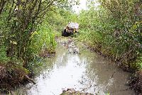 zdjęcie nr 33