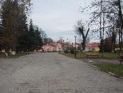 Fotka nr 5 z 12