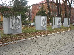 zdjęcie nr 7