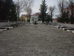 zdjęcie nr 8