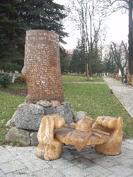 zdjęcie nr 10