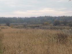 zdjęcie nr 10