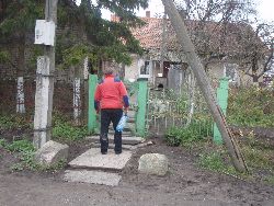 zdjęcie nr 11