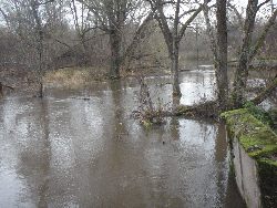zdjęcie nr 19