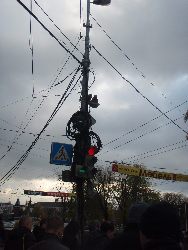 zdjęcie nr 53