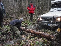 zdjęcie nr 12