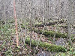 zdjęcie nr 17