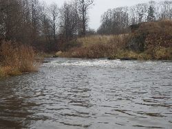 zdjęcie nr 22