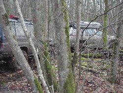 zdjęcie nr 31