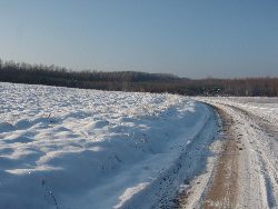 zdjęcie nr 9