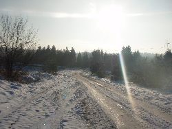 zdjęcie nr 18